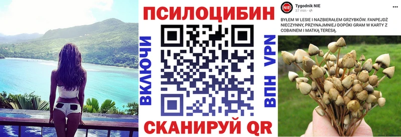 Купить  Слободской  Галлюциногенные грибы GOLDEN TEACHER 